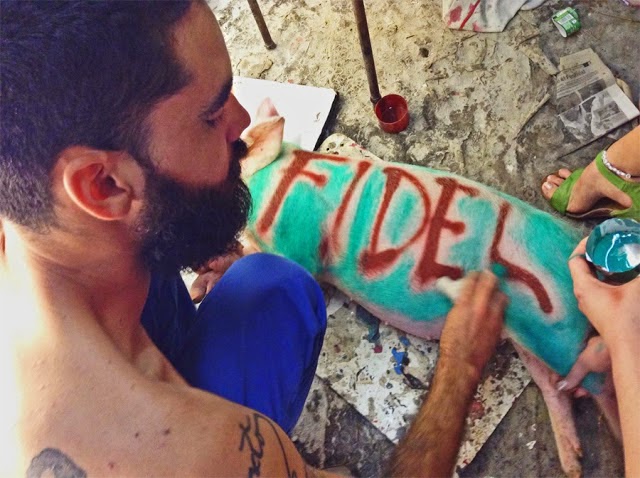 Via «The Stream»: Artista cubano en prisión por pintar nombres en cerdos